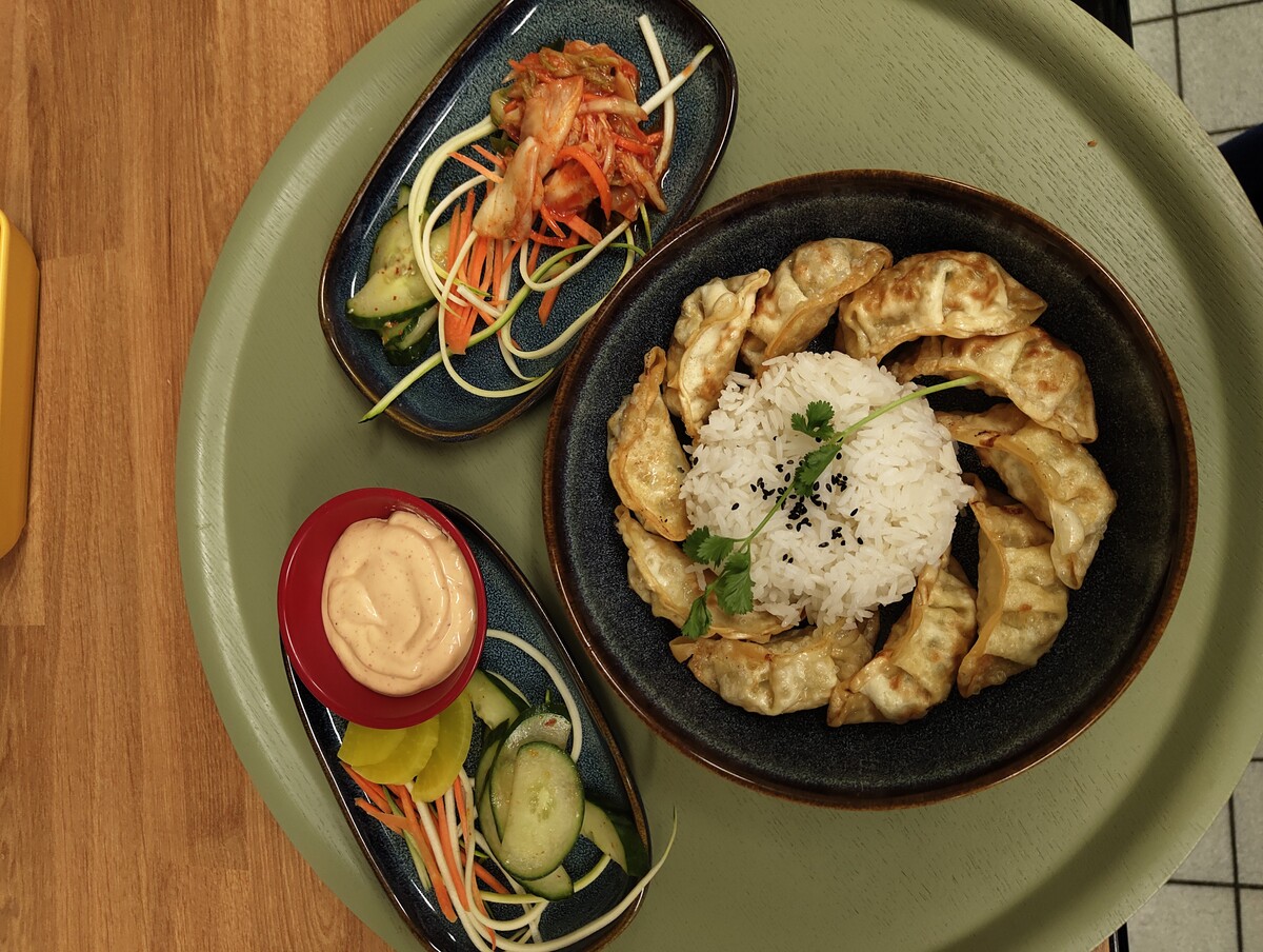 Gyoza